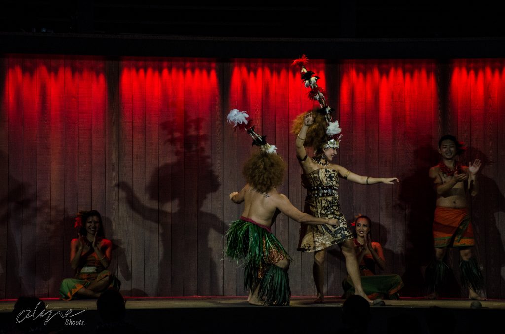 04032016-DSC_0484.jpg Show tipico