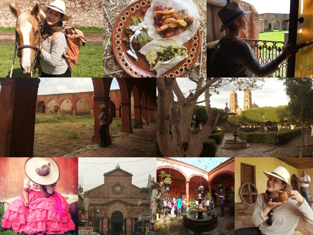 CollageSalv
