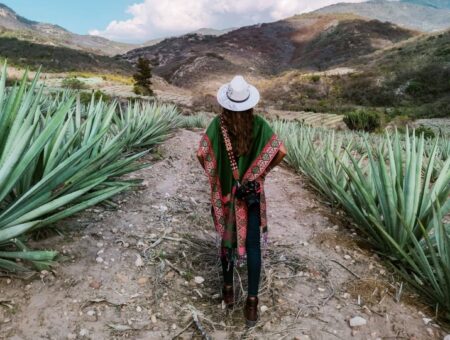 Ruta del Mezcal en Oaxaca: Un viaje que cautivará tu garganta