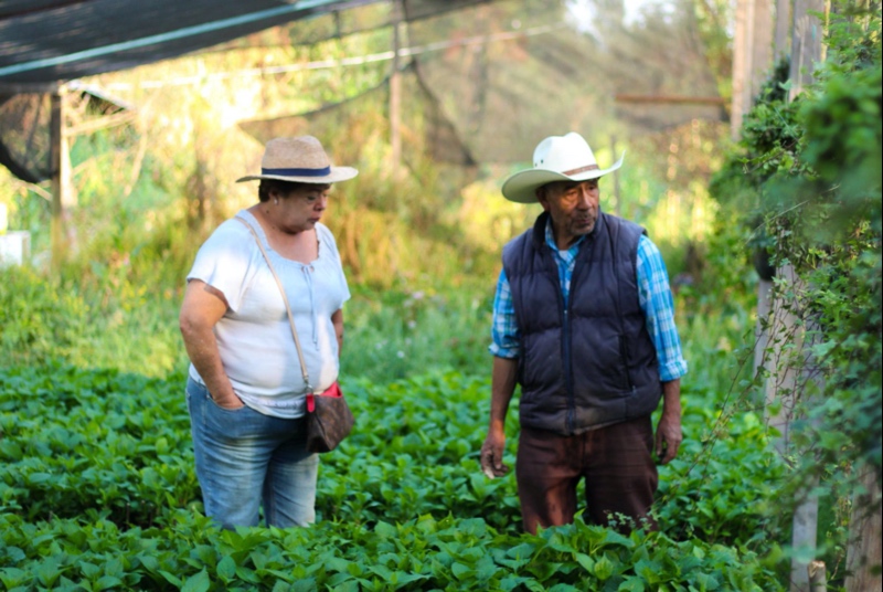 Mariel de Viaje Xochimilco agricultores