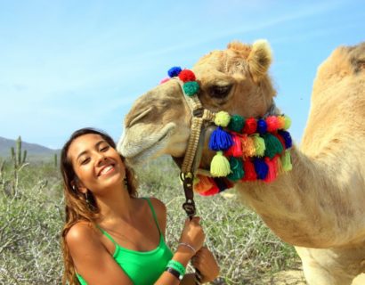 Tour de Camellos a la mexicana