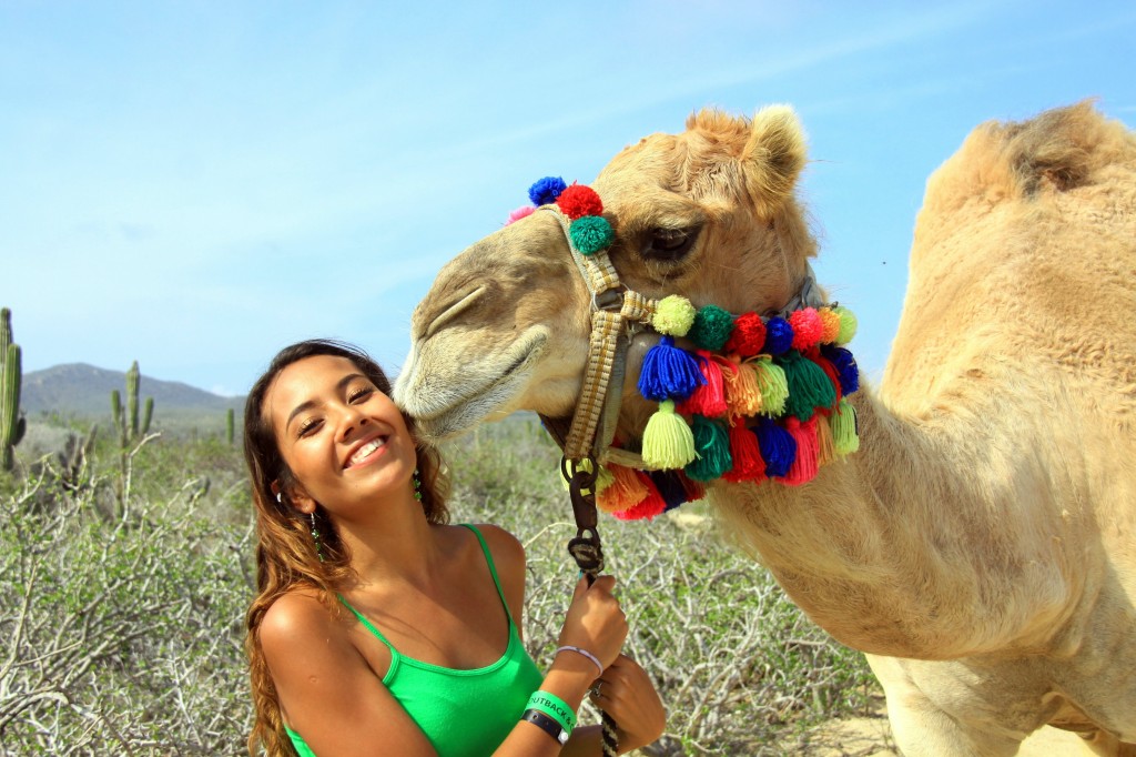 Costo De Tour De Camellos En Los Cabos
