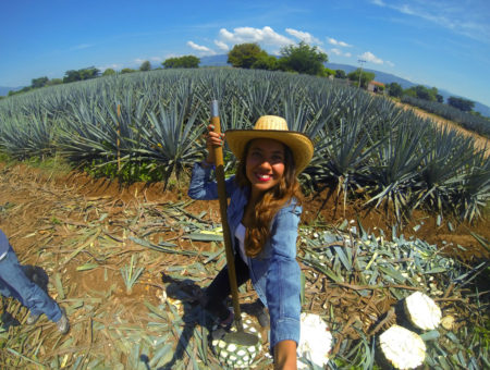 Experiencias que te harán gritar: ¡Viva México!