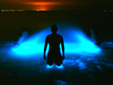 ¡Esta laguna brilla cuando la tocas! -Oaxaca