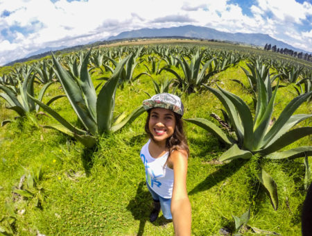 ¡SIGUE LA RUTA DEL PULQUE EN PUEBLA!