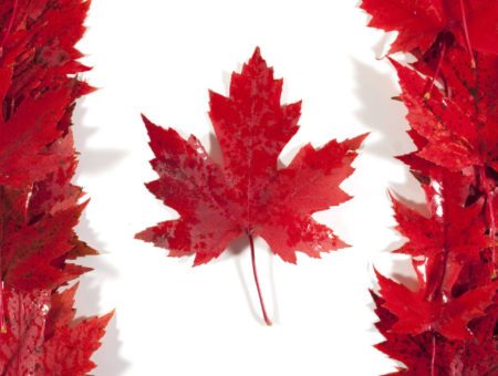 ¿QUÉ NECESITAS PARA IRTE A CANADÁ?