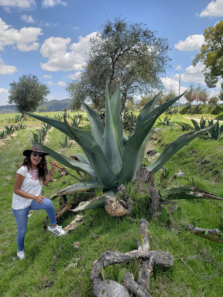 tour luciernagas en tlaxcala