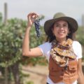 Visita un viñedo en Ensenada y haz tu propio vino: Tres experiencias de enoturismo en Santo Tomás