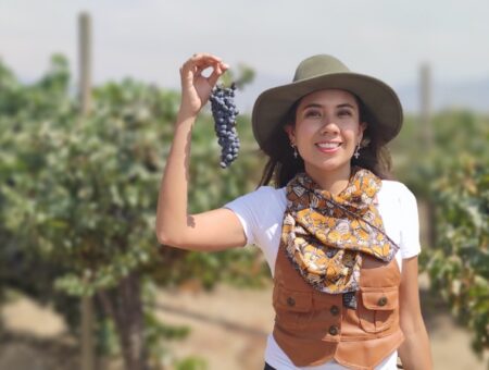 Visita un viñedo en Ensenada y haz tu propio vino: Tres experiencias de enoturismo en Santo Tomás