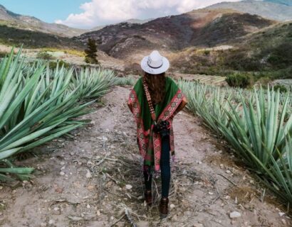 Ruta del Mezcal en Oaxaca: Un viaje que cautivará tu garganta