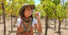 Viaja a Ensenada: tips para hacer la ruta del vino
