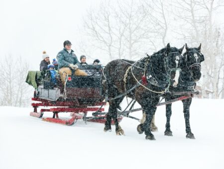 Park City: destino ideal para disfrutar la nieve￼