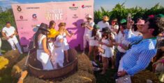 ¡Así se vivió la octava edición del festival de vino Born To Be Wine!